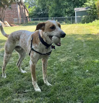 Jax