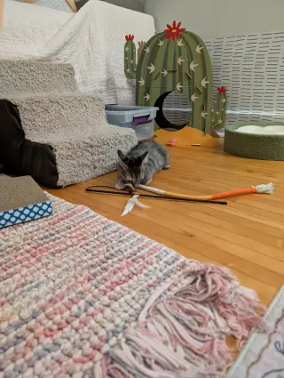 Pixel