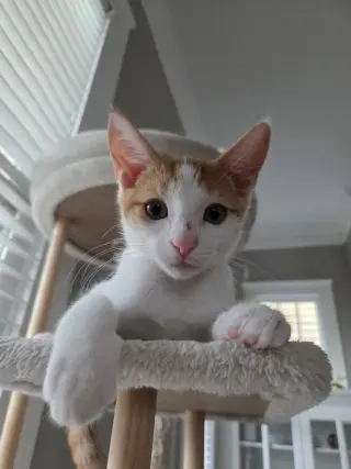 Pickles =^.^=