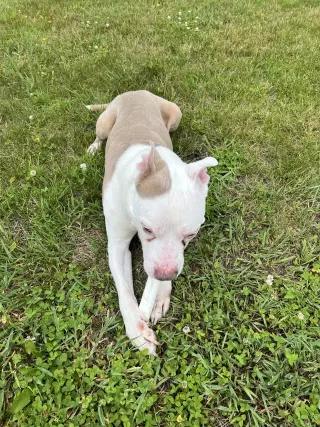 Oakley