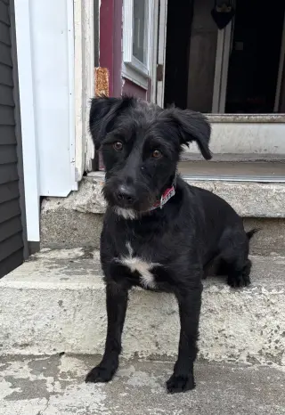 Lucielle in RI