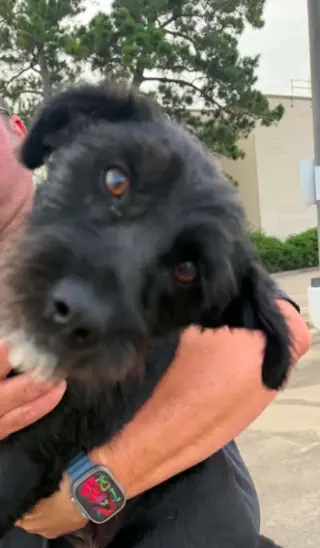 Lucielle in RI