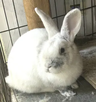 Milton