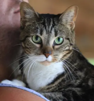 Angela