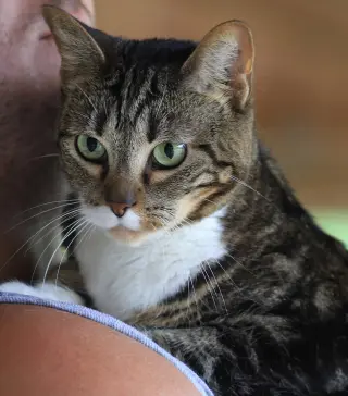 Angela