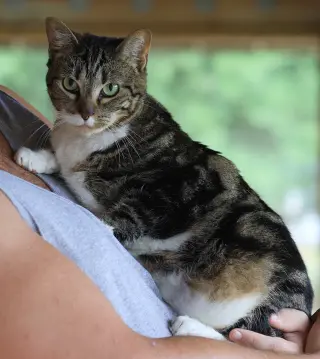 Angela
