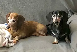 Mara & Emily