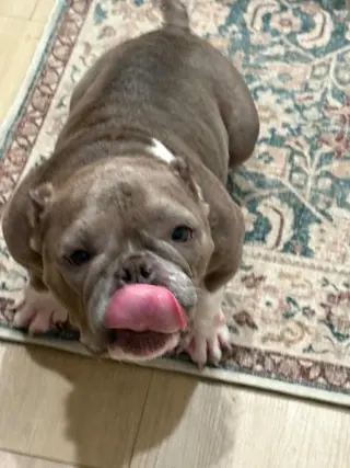Coco (GA)