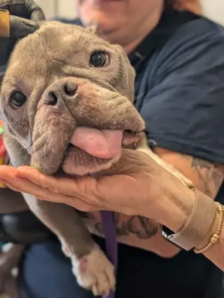 Coco (GA)