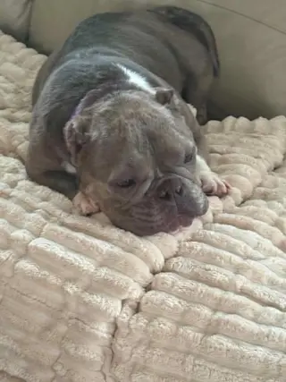 Coco (GA)