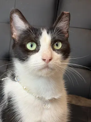 Maddie