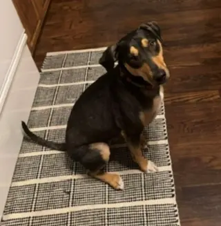 Luna - Courtesy Post