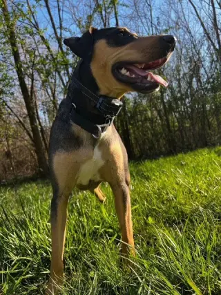 Luna - Courtesy Post