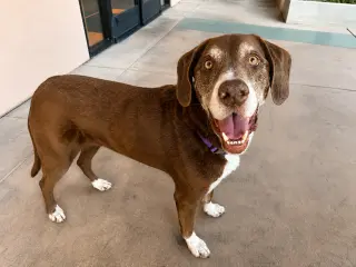 Rusty