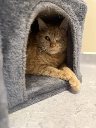 Mimi & Herman