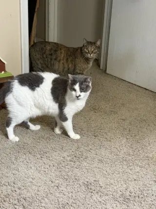 Cleo and Charlie