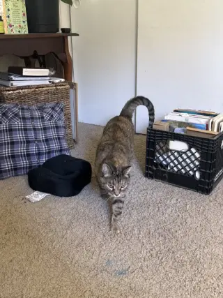 Cleo and Charlie