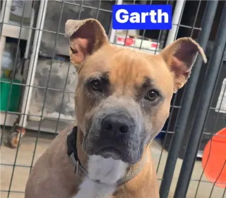 Garth