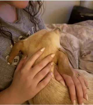 Suni
