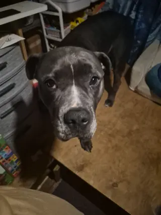 Parker