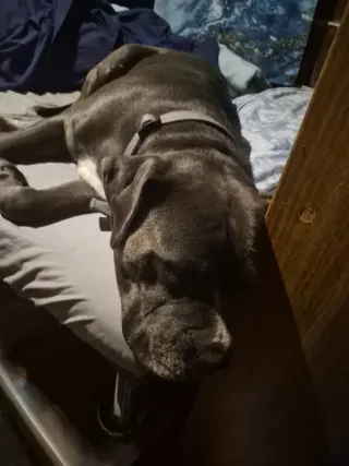 Parker