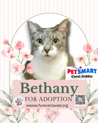 Bethany