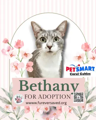 Bethany