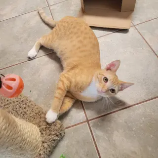 Marty
