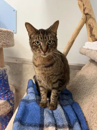 Bo