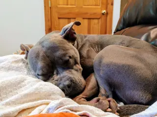 Murphy (formerly known as Morgan)