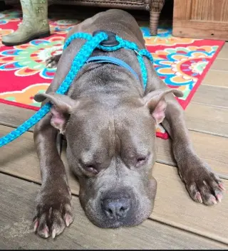 Murphy (formerly known as Morgan)