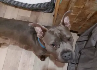 Murphy (formerly known as Morgan)