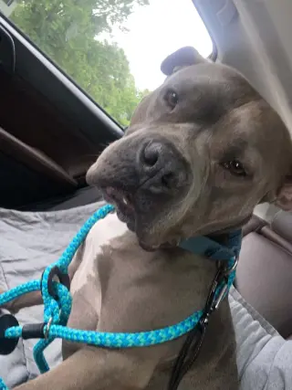 Murphy (formerly known as Morgan)