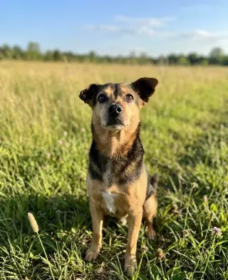 McGee