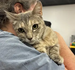 Rose  (Napa Petco)
