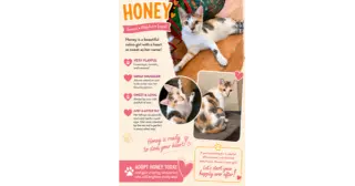 Honey