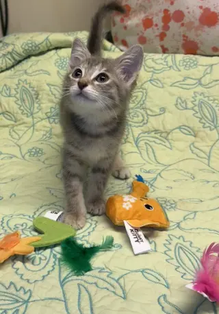 Milo