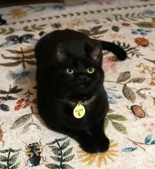 Luna*