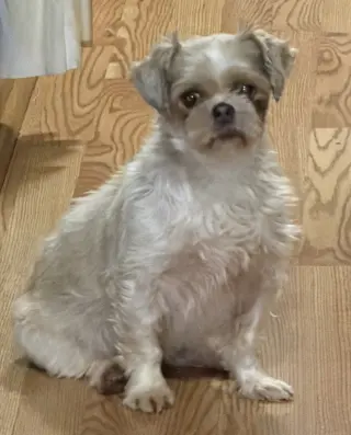 Loretta