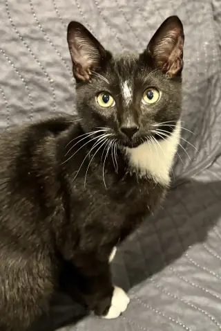 George