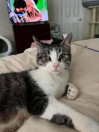 LIBBY