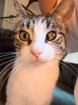 LIBBY