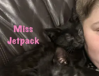 Miss Jetpack