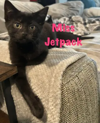 Miss Jetpack