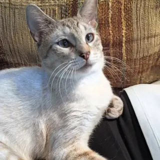 Milo #devotee-of-people