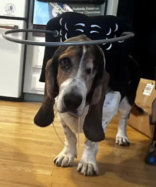 TOBIAS