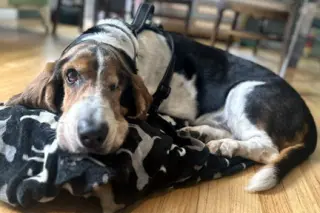 TOBIAS