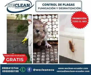 We Clean Quito Ecuador