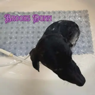 Brooks Dunn