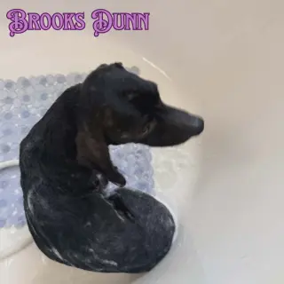 Brooks Dunn